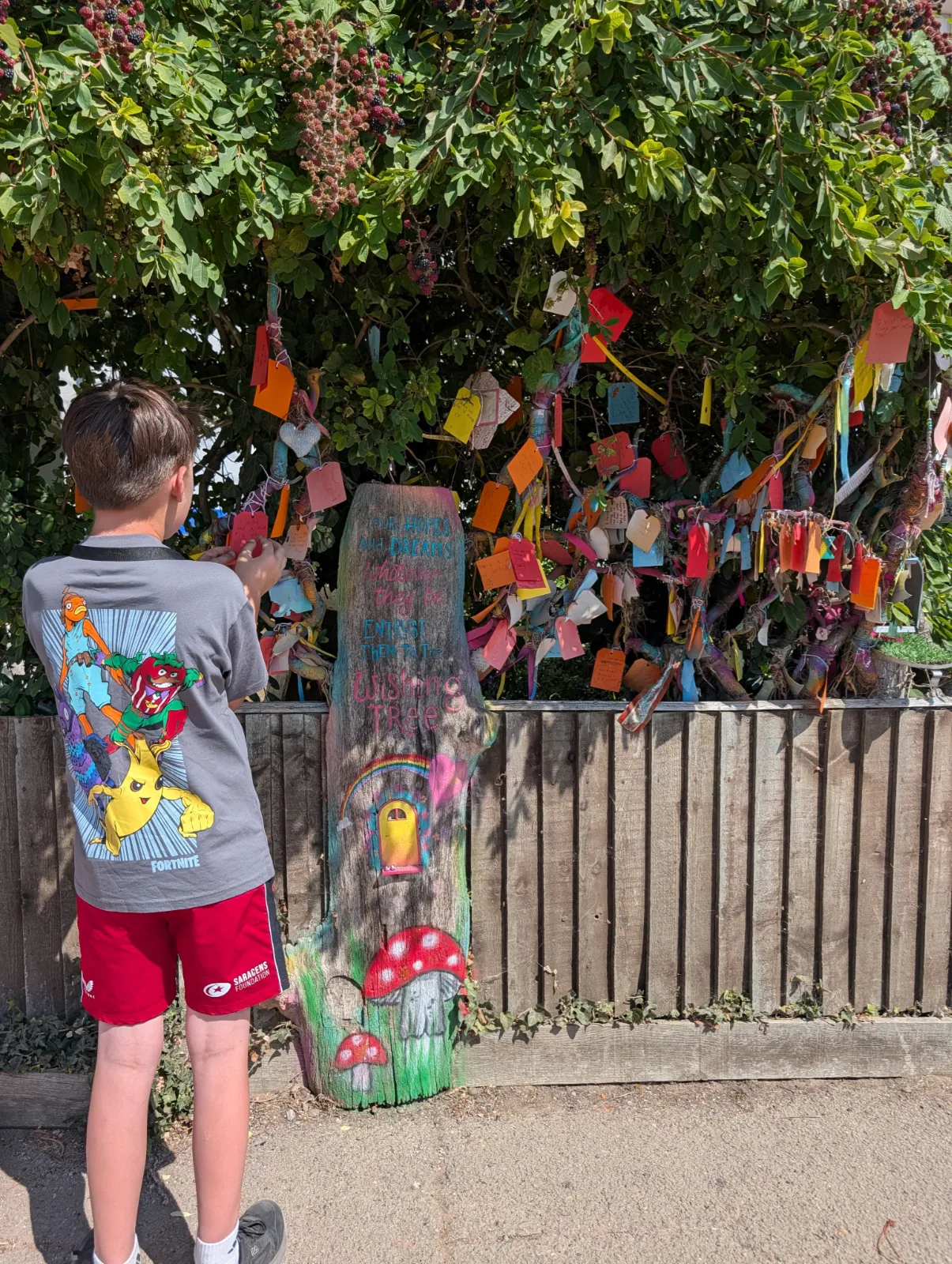 Child reading wishes hanging from the wishing tree on the walk to Hadleigh Castle.