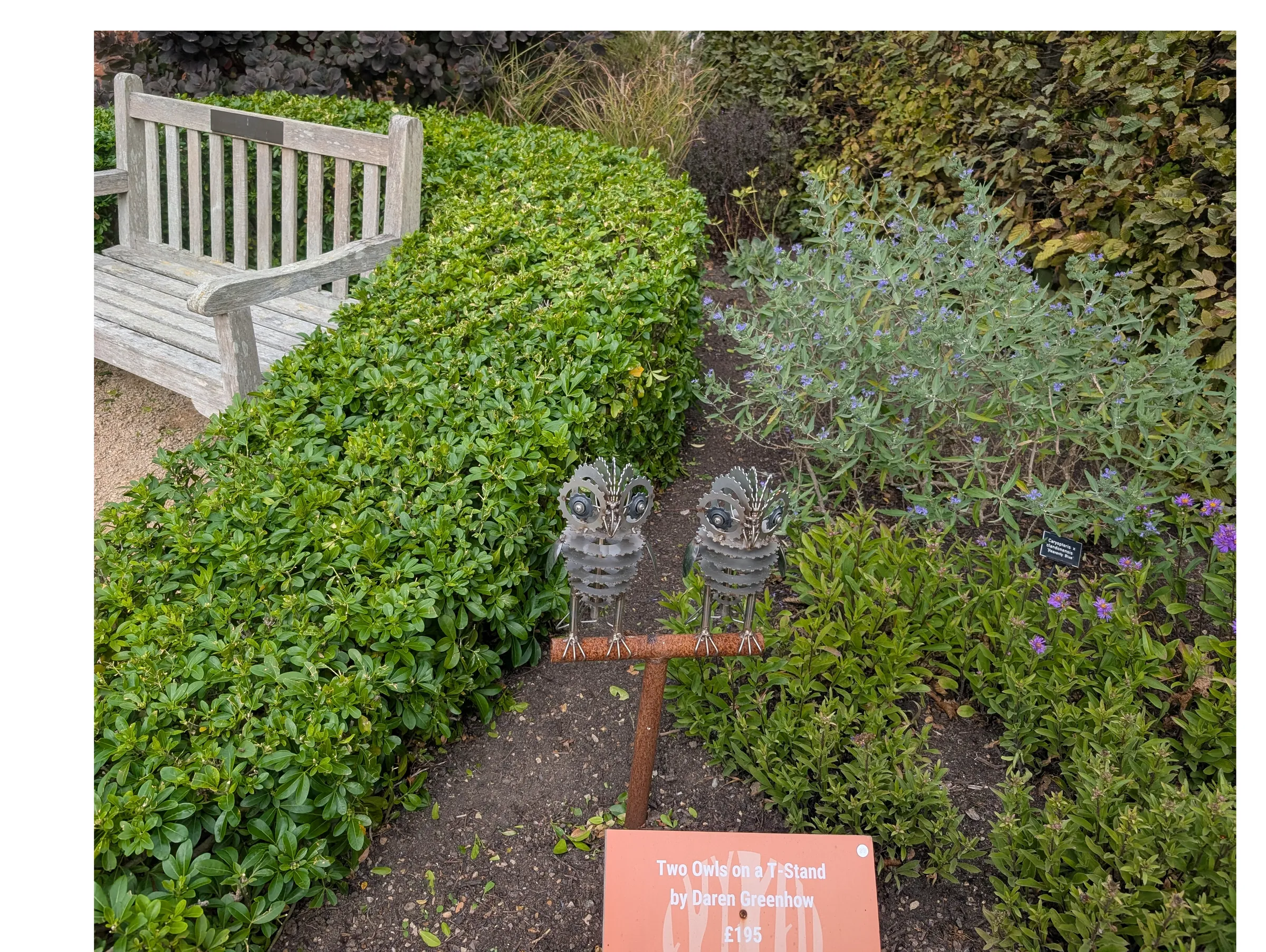 Two small metal owl sculptures displayed among plants in the garden at Markshall Estate.