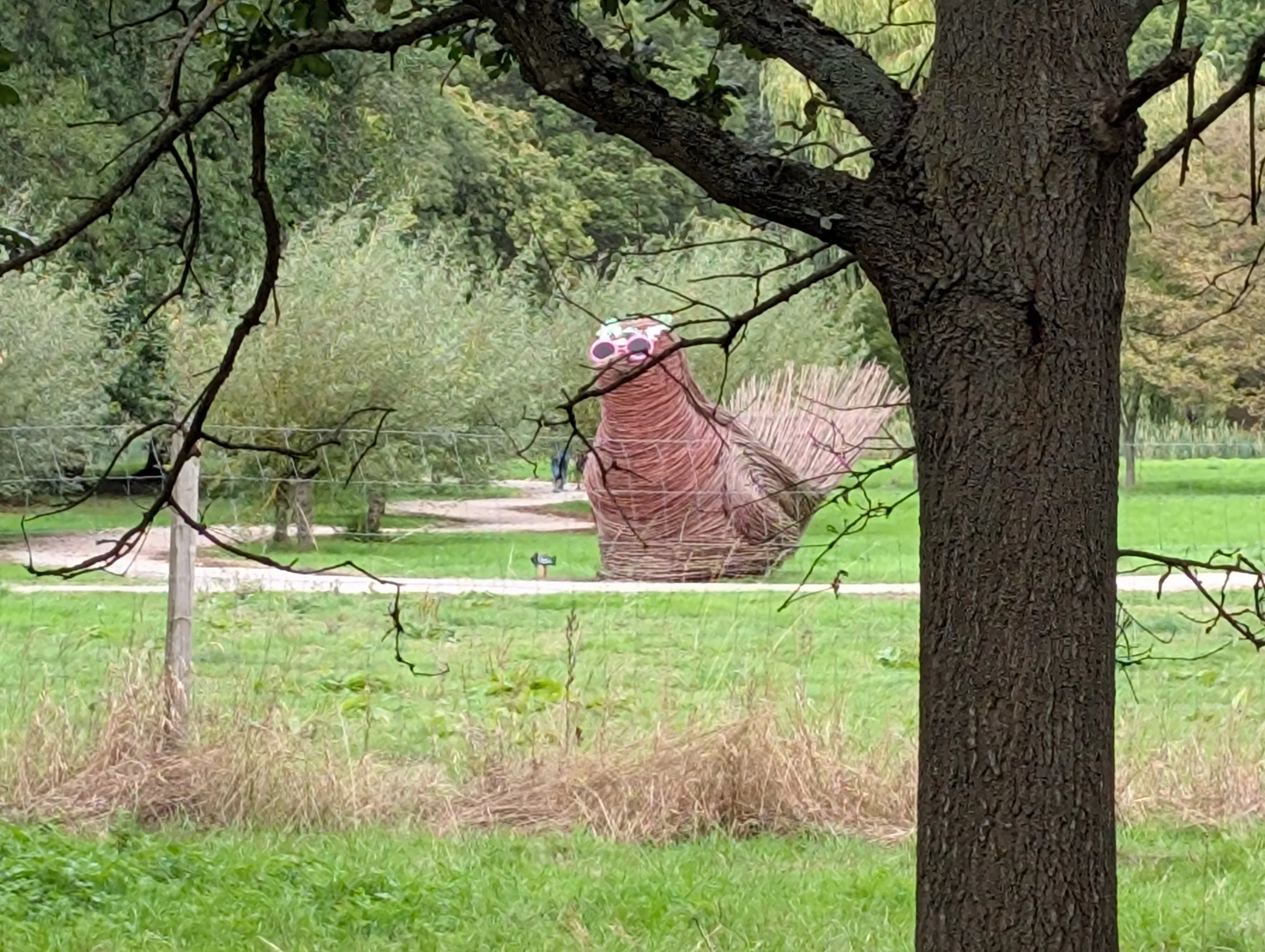 Large woven animal sculpture seen through the trees at Markshall Estate.