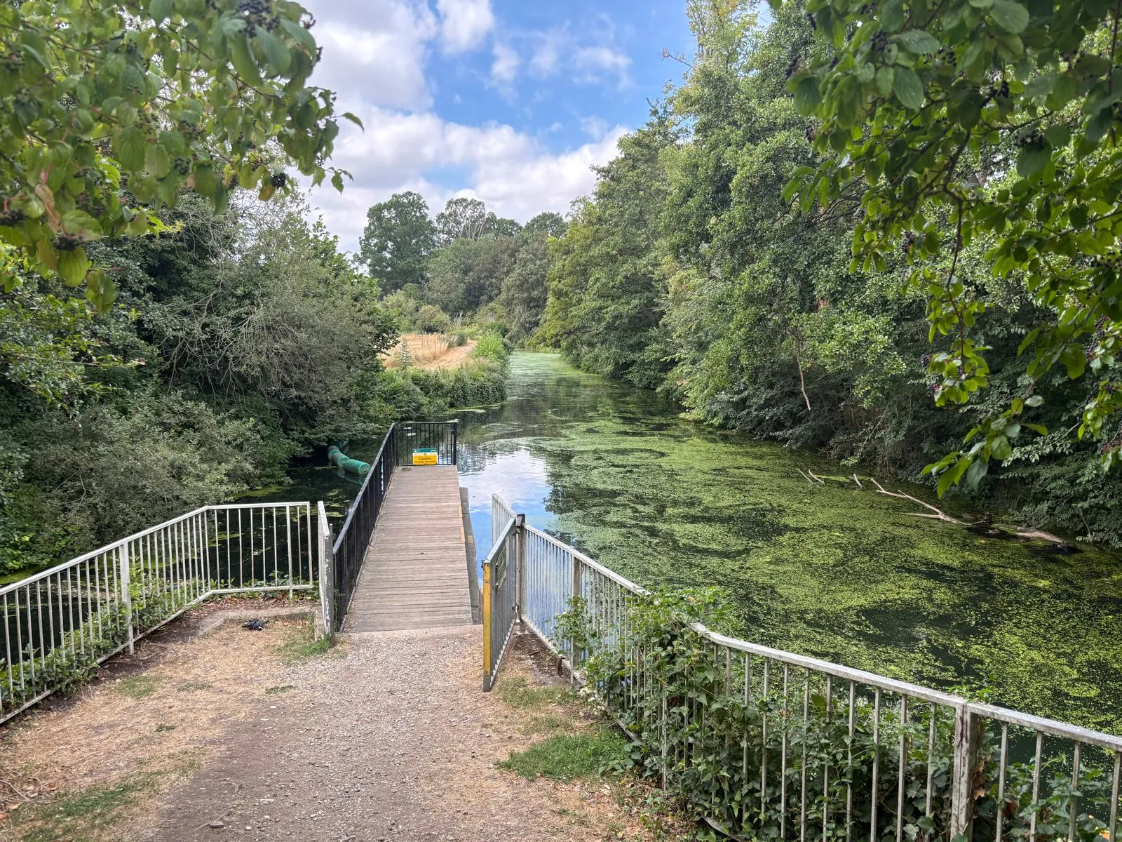 View along the tree-lined Stort Navigation from Twyford Lock.