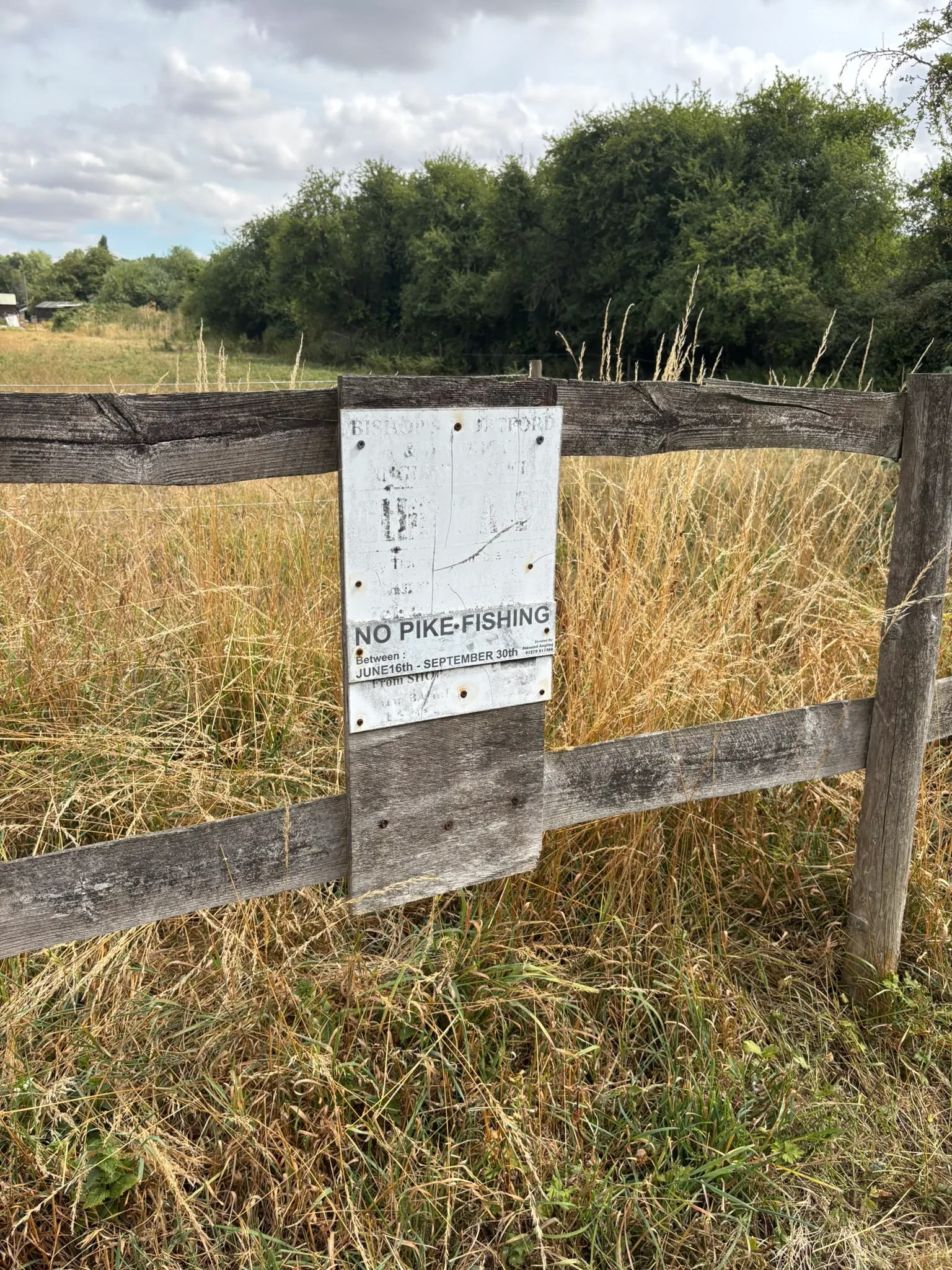 No pike fishing sign beside the Stort Navigation.