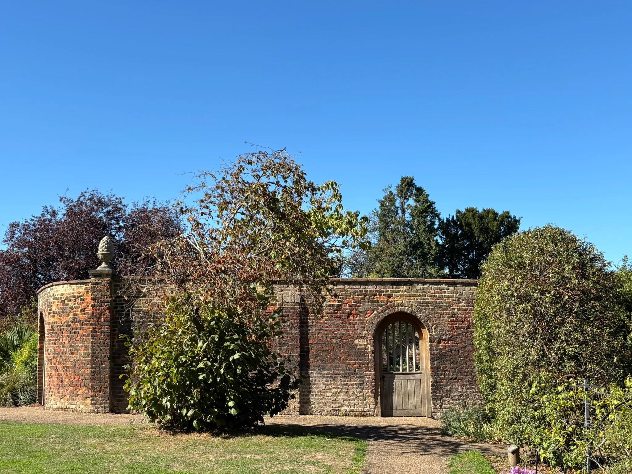 Historic brick wall and arched wooden doorway in the gardens at Valentines Mansion.
