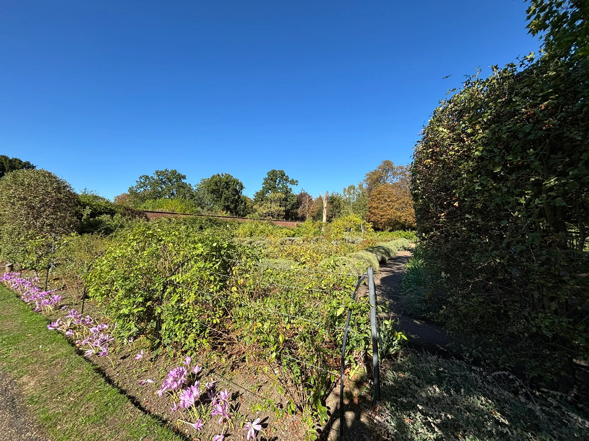 Walled garden with flower beds and mature trees at Valentines Mansion.